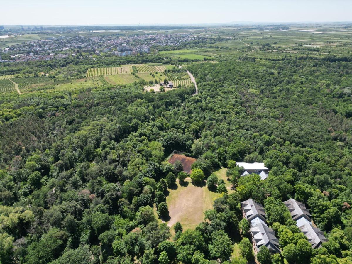 Ferienhaus Budenheim Екстериор снимка